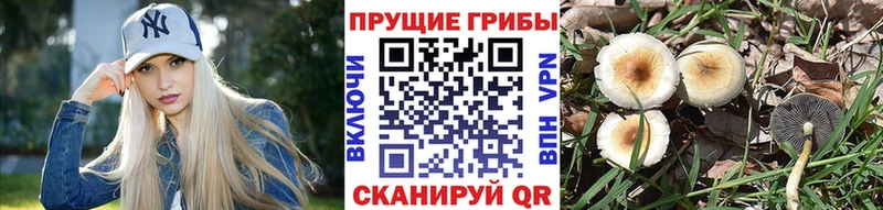 Галлюциногенные грибы Magic Shrooms  Барнаул 