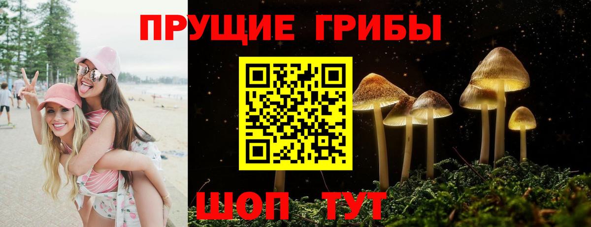 Галлюциногенные грибы GOLDEN TEACHER  Вход с VPN  Барнаул  Псилоцибиновые грибы GOLDEN TEACHER 